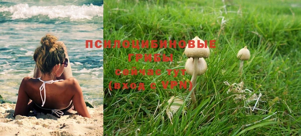 не бодяженный Гусь-Хрустальный
