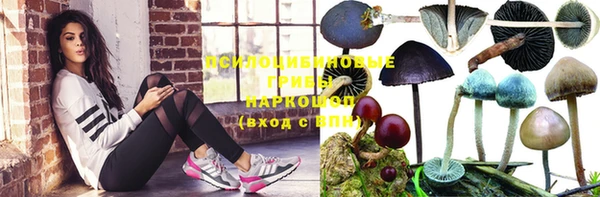 гашишное масло Дмитриев