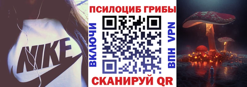 Купить где  Бердск  Галлюциногенные грибы Magic Shrooms 
